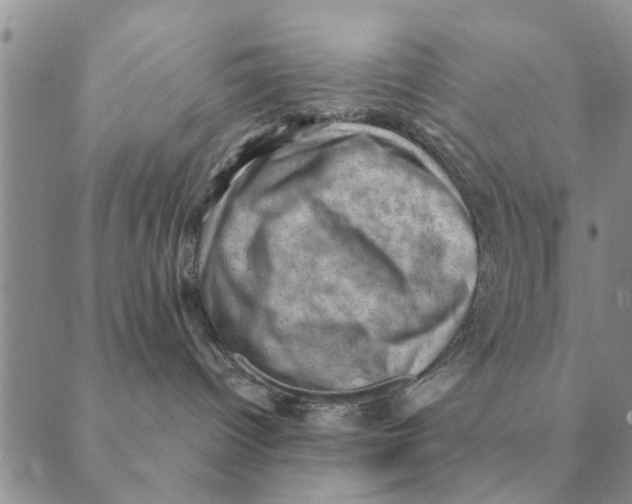 X0000088830096200707051433