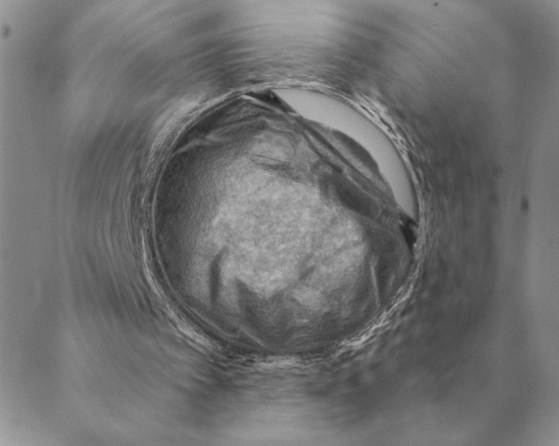 X0000088830097200707051432