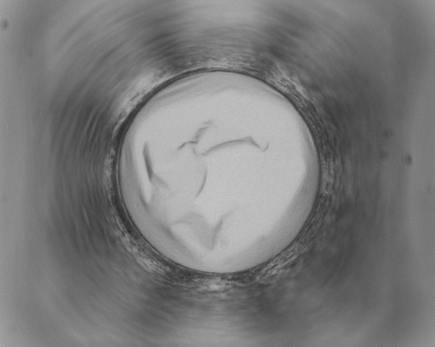 X0000088830098200707051432