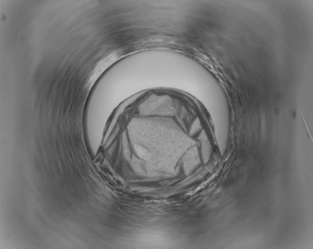 X0000088830099200707051432