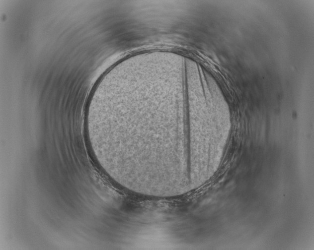 X0000088830100200707051432