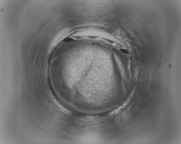 X0000088830101200707051432