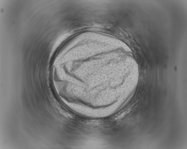 X0000088830102200707051432