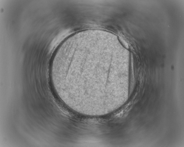 X0000088830103200707051432