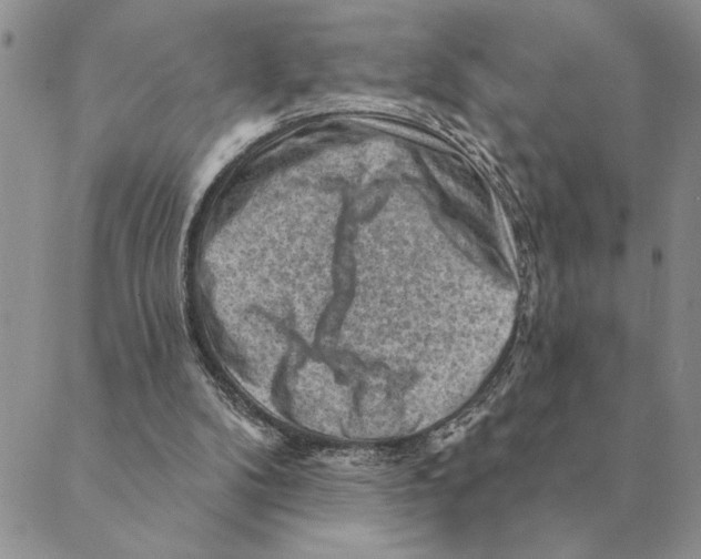 X0000088830104200707051432