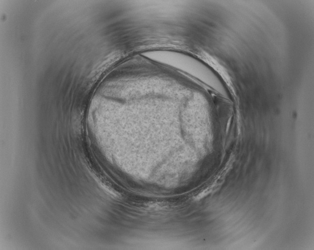 X0000088830105200707051432