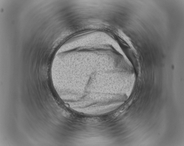 X0000088830106200707051432