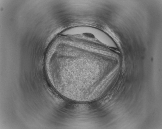 X0000088830107200707051432