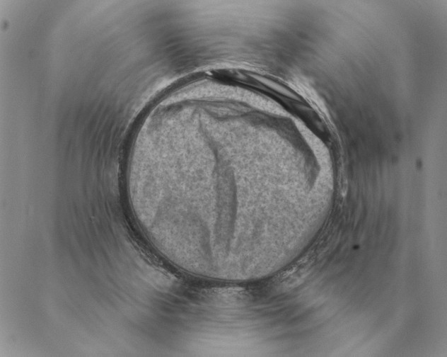 X0000088830108200707051432