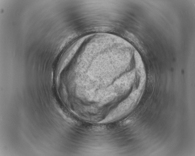 X0000088830110200707051432