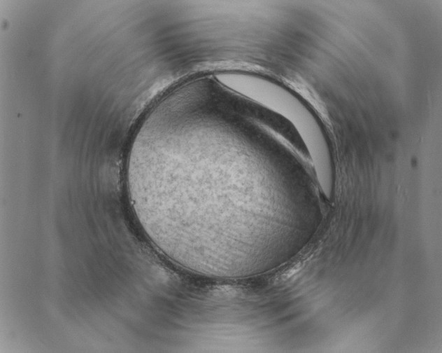 X0000088830111200707051432