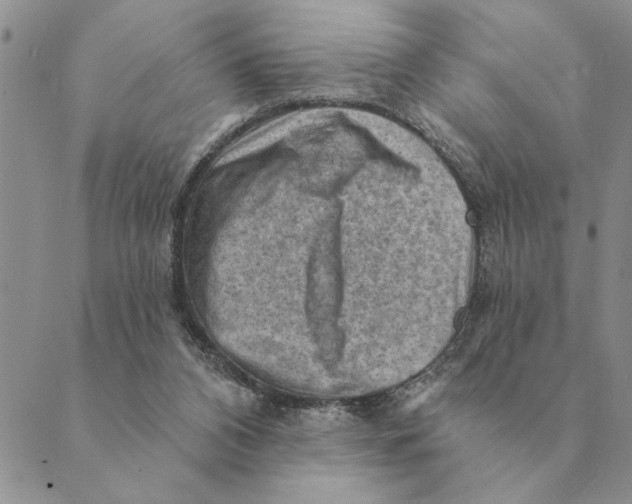 X0000088830112200707051432