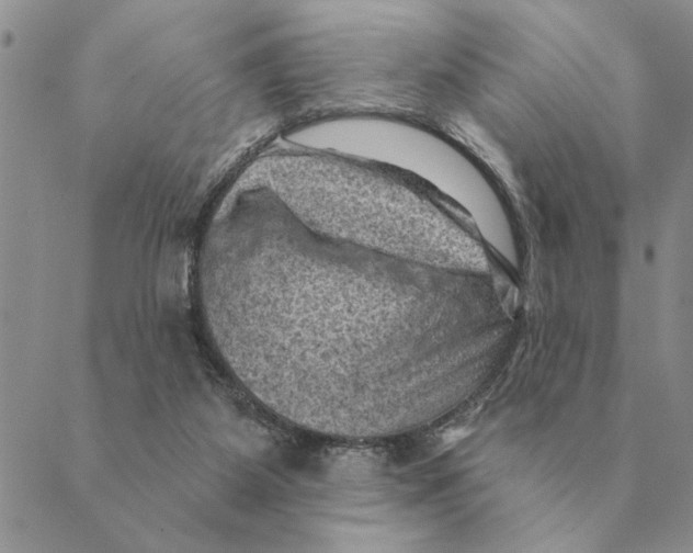 X0000088830115200707051432