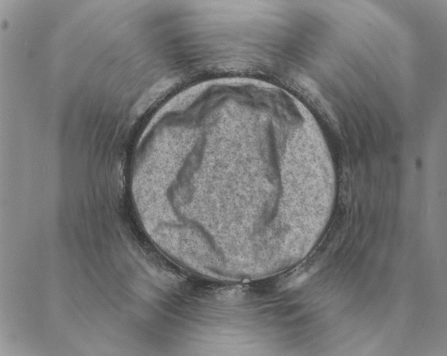 X0000088830116200707051432