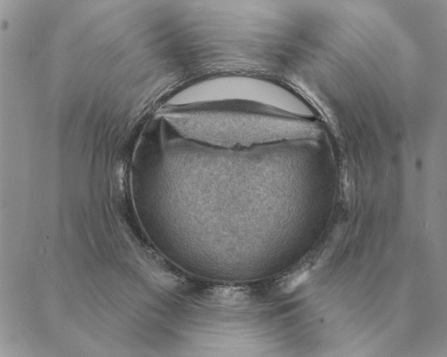 X0000088830117200707051432