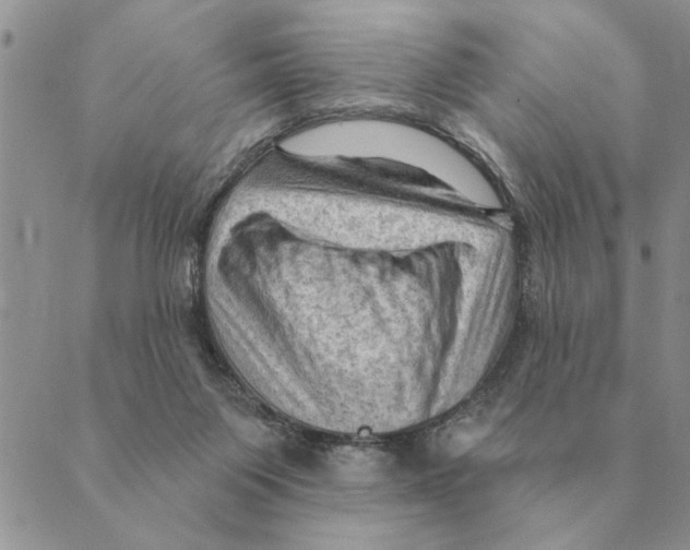 X0000088830119200707051432