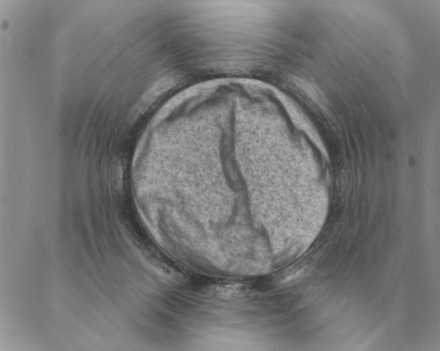 X0000088830120200707051432