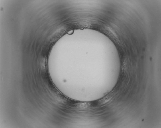 X0000088830122200707051432