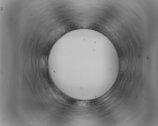 X0000088830126200707051432