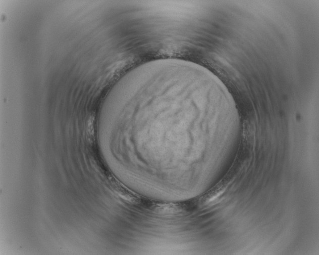 X0000088830127200707051432