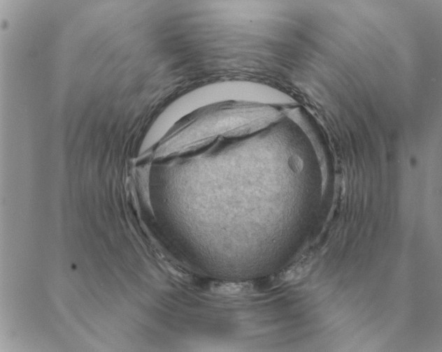 X0000088830129200707051431