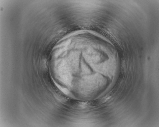 X0000088830130200707051431