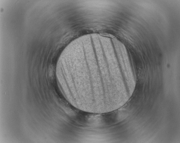 X0000088830132200707051431