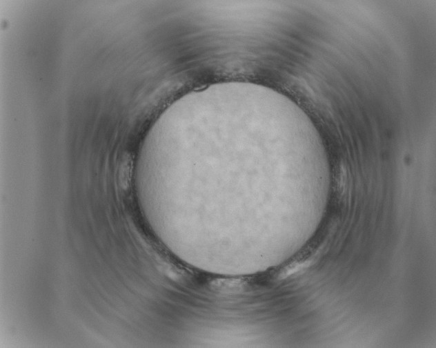 X0000088830133200707051431