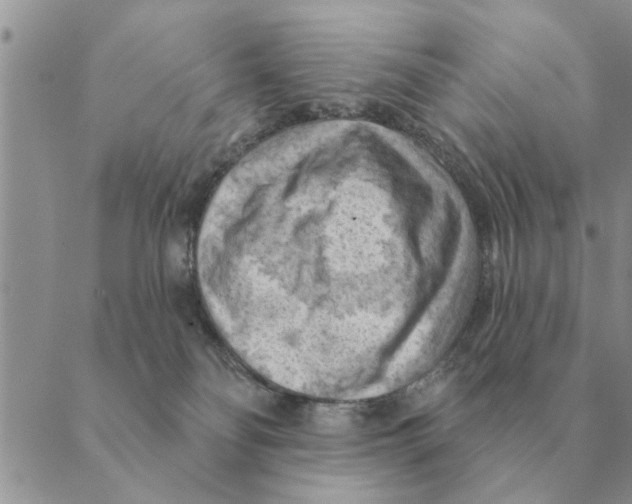 X0000088830134200707051431