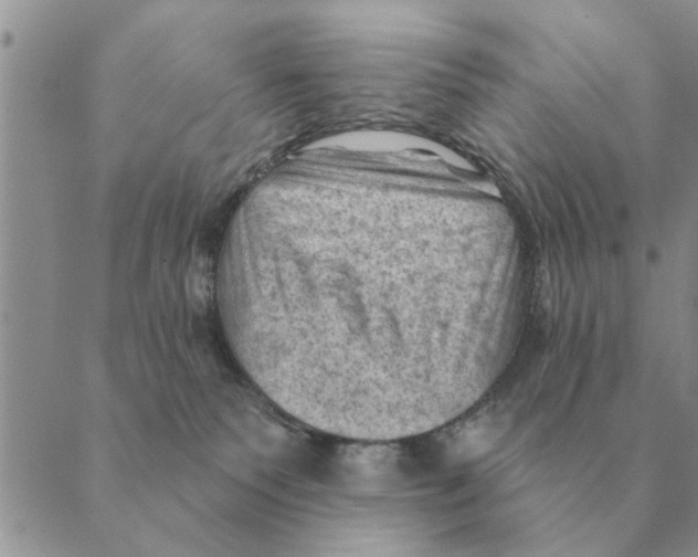 X0000088830135200707051431