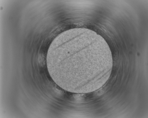 X0000088830136200707051431