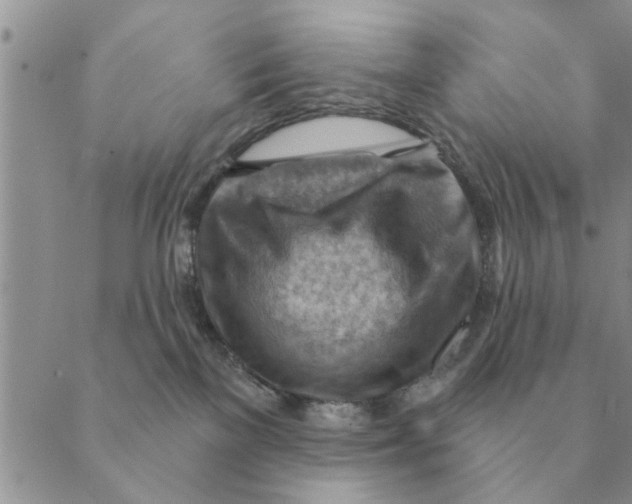 X0000088830137200707051431