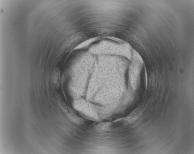 X0000088830138200707051431