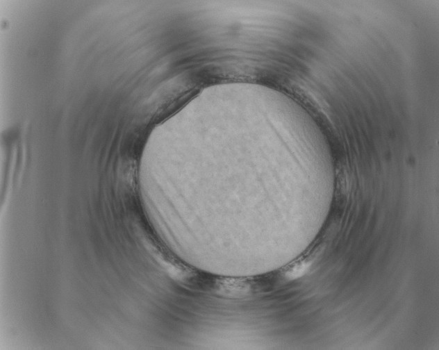 X0000088830141200707051431