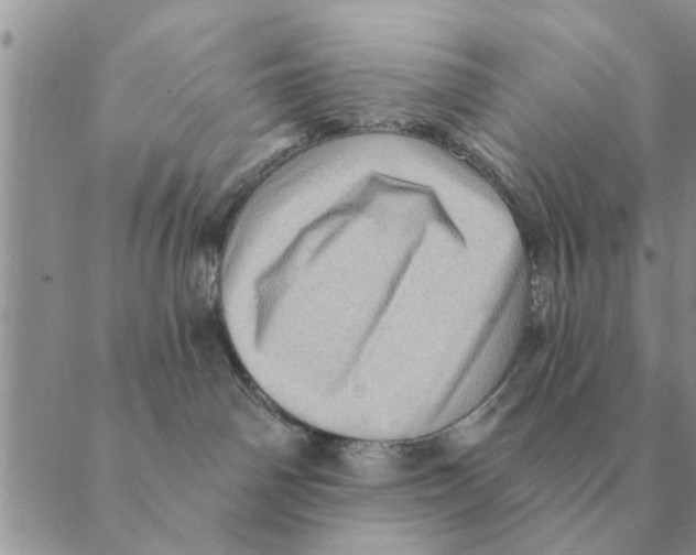 X0000088830142200707051431