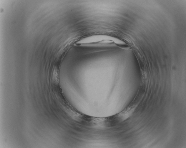 X0000088830143200707051431