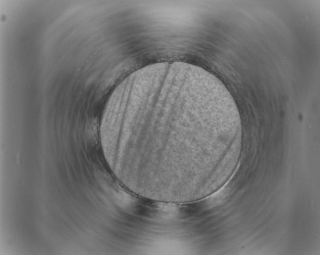 X0000088830144200707051431