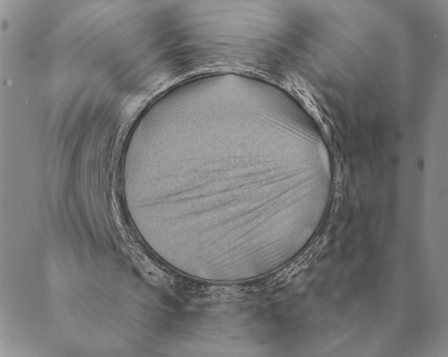 X0000088830145200707051430