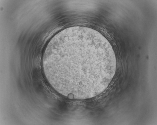 X0000088830146200707051430