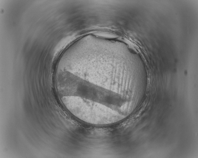 X0000088830149200707051431