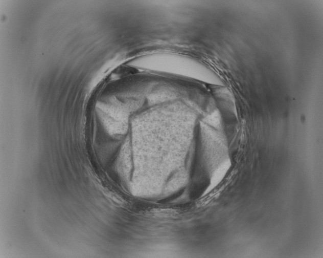 X0000088830150200707051431