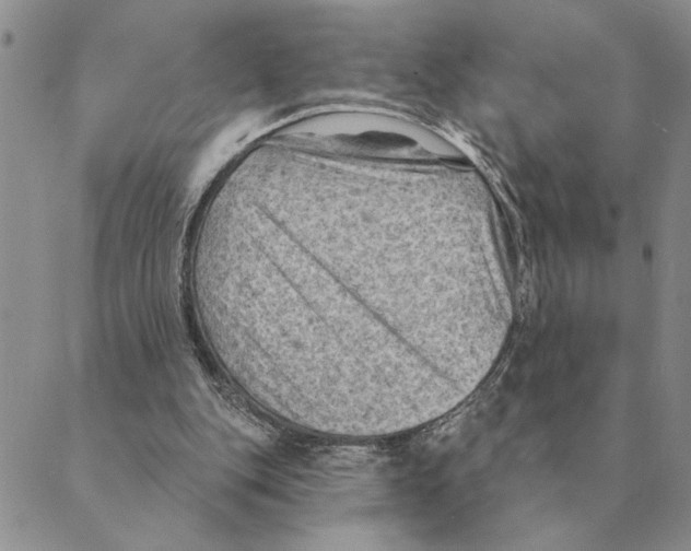 X0000088830151200707051431