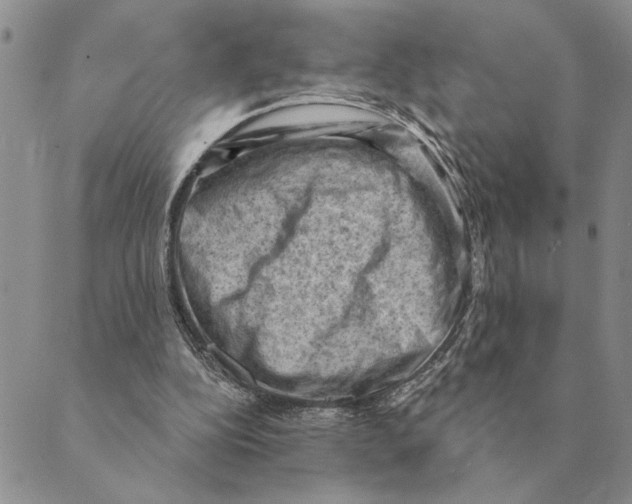 X0000088830152200707051431