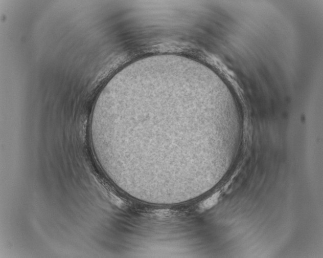 X0000088830153200707051431