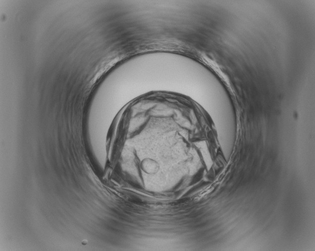 X0000088830154200707051431