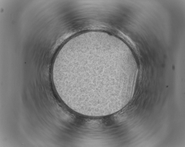 X0000088830155200707051431