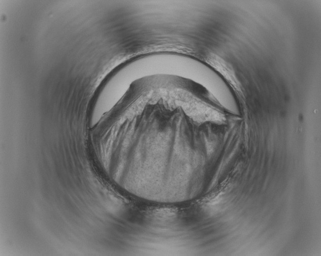 X0000088830156200707051431