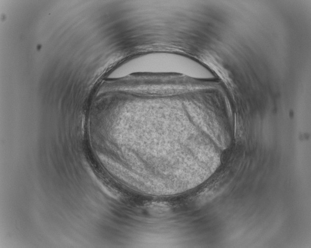 X0000088830157200707051431