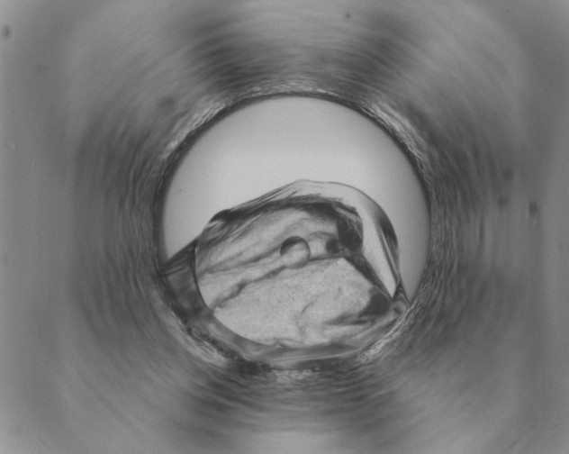 X0000088830158200707051431