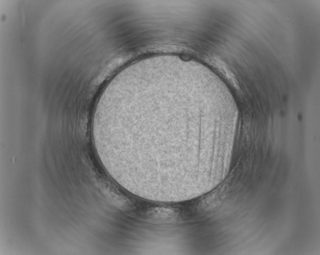 X0000088830159200707051431